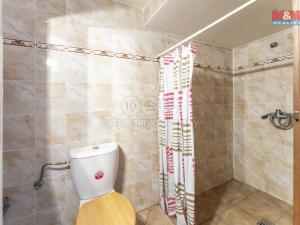 Prodej chaty, Rabyně, 110 m2