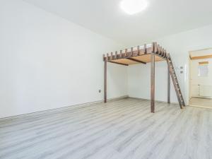 Prodej bytu 2+kk, Praha - Žižkov, Lucemburská, 53 m2
