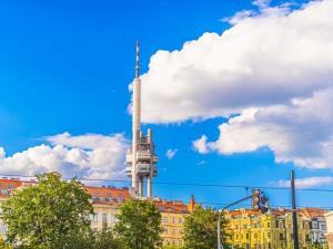 Prodej bytu 2+kk, Praha - Žižkov, Lucemburská, 53 m2