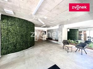 Pronájem bytu 2+kk, Zlín, Nad Stráněmi, 53 m2