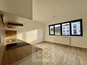 Pronájem bytu 1+kk, Kuřim, 30 m2