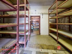 Pronájem obchodního prostoru, Mladá Boleslav - Mladá Boleslav III, Nádražní, 58 m2
