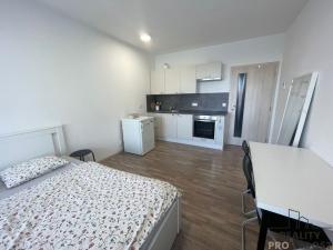 Pronájem bytu 1+kk, Olomouc, Janského, 34 m2