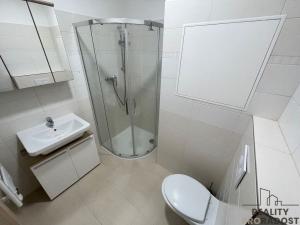 Pronájem bytu 1+kk, Olomouc, Janského, 34 m2