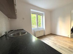 Pronájem bytu 1+1, Plzeň - Lobzy, Partyzánská, 28 m2