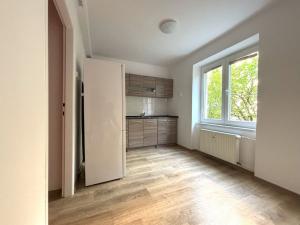 Pronájem bytu 1+1, Plzeň - Lobzy, Partyzánská, 28 m2