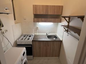 Pronájem bytu 1+1, Praha - Vokovice, Africká, 30 m2