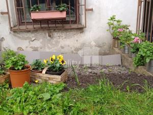 Pronájem bytu 2+1, Česká Lípa, Jindřicha z Lipé, 60 m2