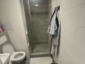Pronájem bytu 1+1, Plzeň, Manětínská, 40 m2