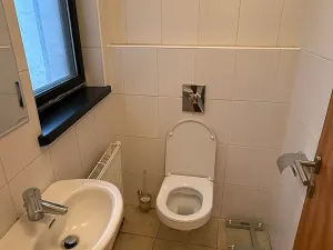 Pronájem bytu 5+kk, Liberec, Frýdlantská, 165 m2