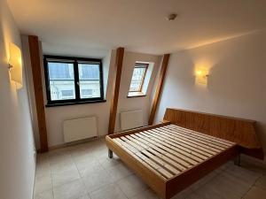 Pronájem bytu 5+kk, Liberec, Frýdlantská, 165 m2