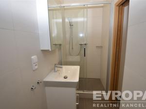 Pronájem bytu 1+1, Praha - Žižkov, Seifertova, 38 m2