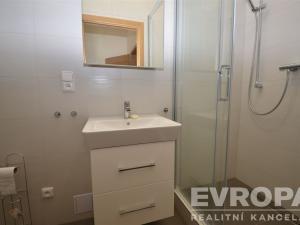Pronájem bytu 1+1, Praha - Žižkov, Seifertova, 38 m2