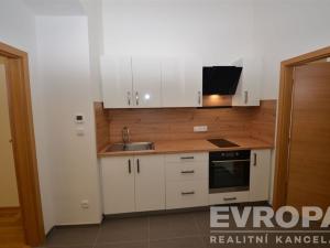 Pronájem bytu 1+1, Praha - Žižkov, Seifertova, 38 m2