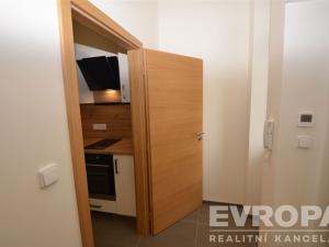 Pronájem bytu 1+1, Praha - Žižkov, Seifertova, 38 m2