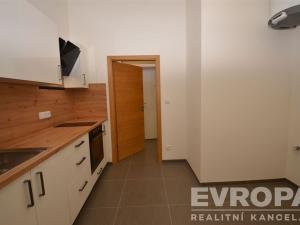 Pronájem bytu 1+1, Praha - Žižkov, Seifertova, 38 m2