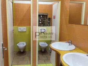 Pronájem obchodního prostoru, Znojmo, 300 m2