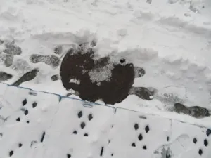 Dražba obchodního prostoru, Strážný, 10 m2