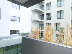 Pronájem bytu 4+kk, Praha - Žižkov, Prokopova, 98 m2