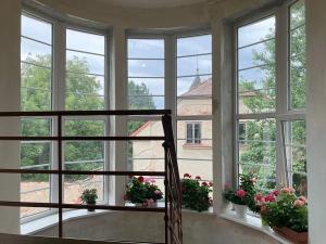 Prodej rodinného domu, Litomyšl, Trstěnická, 170 m2