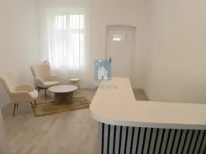 Pronájem komerční nemovitosti, Plzeň, Perlová, 45 m2