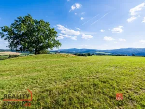 Prodej pole, Chrastava - Horní Chrastava, Frýdlantská, 11539 m2