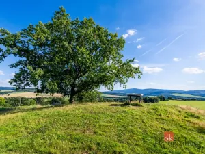 Prodej pole, Chrastava - Horní Chrastava, Frýdlantská, 11539 m2