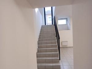 Pronájem obchodního prostoru, Brno - Husovice, Dukelská třída, 80 m2