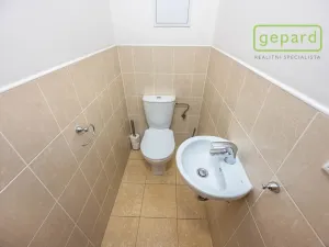 Prodej bytu 3+kk, Praha, Wiesenthalova, 80 m2