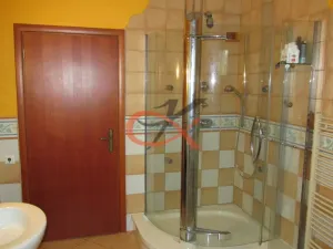 Pronájem rodinného domu, Krhová, Na Nivách, 300 m2