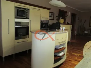 Pronájem rodinného domu, Krhová, Na Nivách, 300 m2