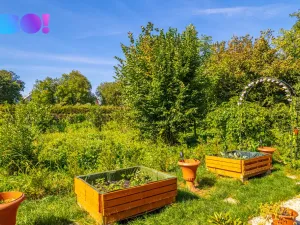 Prodej bytu 3+kk, Třinec - Konská, 51 m2