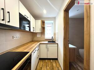 Pronájem bytu 3+1, Březová, Sklářská, 75 m2
