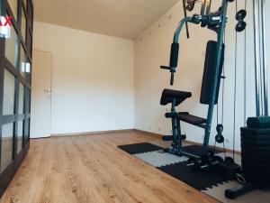 Prodej bytu 3+kk, Vítkov, 75 m2