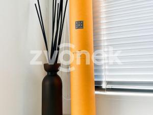 Pronájem bytu 3+kk, Zlín, Obeciny I, 85 m2
