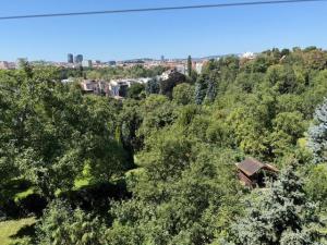 Prodej bytu 3+1, Brno - Černá Pole, Helfertova, 110 m2