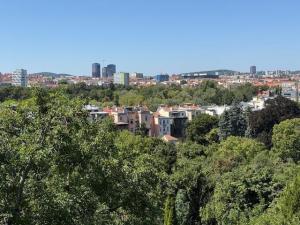 Prodej bytu 3+1, Brno - Černá Pole, Helfertova, 110 m2