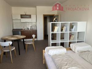 Pronájem bytu 1+kk, Rožnov pod Radhoštěm, Meziříčská, 27 m2