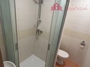 Pronájem bytu 1+kk, Rožnov pod Radhoštěm, Meziříčská, 27 m2