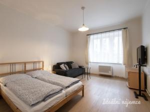 Pronájem bytu 1+1, Praha, Nad Primaskou, 48 m2