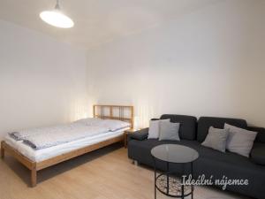 Pronájem bytu 1+1, Praha, Nad Primaskou, 48 m2