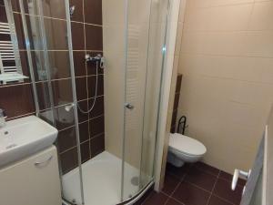Pronájem bytu 1+kk, České Budějovice, U Trojice, 21 m2