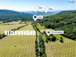 Prodej zahrady, Lukov, 4446 m2
