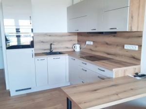Pronájem bytu 1+kk, Olomouc, Aloise Rašína, 31 m2