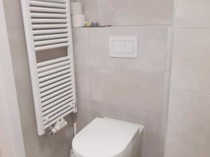 Pronájem bytu 1+kk, Olomouc, Aloise Rašína, 31 m2