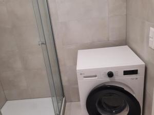 Pronájem bytu 1+kk, Olomouc, Aloise Rašína, 31 m2