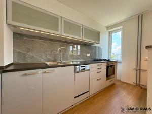 Pronájem bytu 2+kk, Brno - Staré Brno, Rybářská, 53 m2