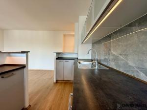 Pronájem bytu 2+kk, Brno - Staré Brno, Rybářská, 53 m2