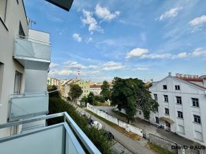 Pronájem bytu 2+kk, Brno - Staré Brno, Rybářská, 53 m2