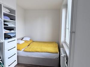 Pronájem bytu 2+kk, Karviná, Březová, 55 m2